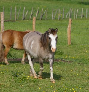 33398282_10212095039278349_6634318579200163840_n