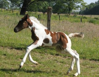 498208647_10229372504244175_8962542313735603289_n