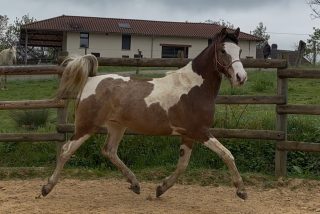 525247596_1311129060578782_2542265463114030772_n