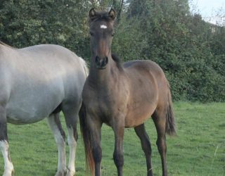 563432932_1374745024217185_3011063824947829389_n