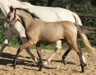 563577041_1374738437551177_3991322509224326866_n